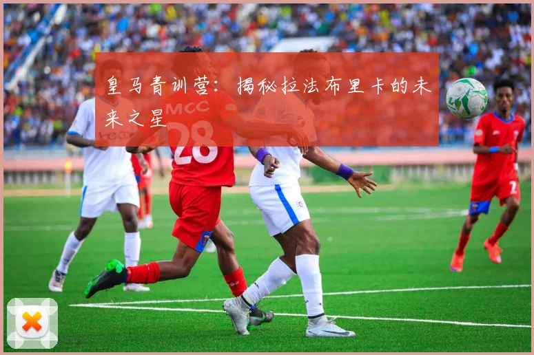 皇马青训营：揭秘拉法布里卡的未来之星