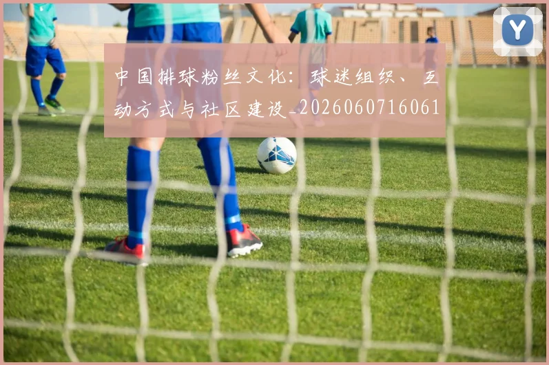 中国排球粉丝文化:球迷组织、互动方式与社区建设_20260607160615